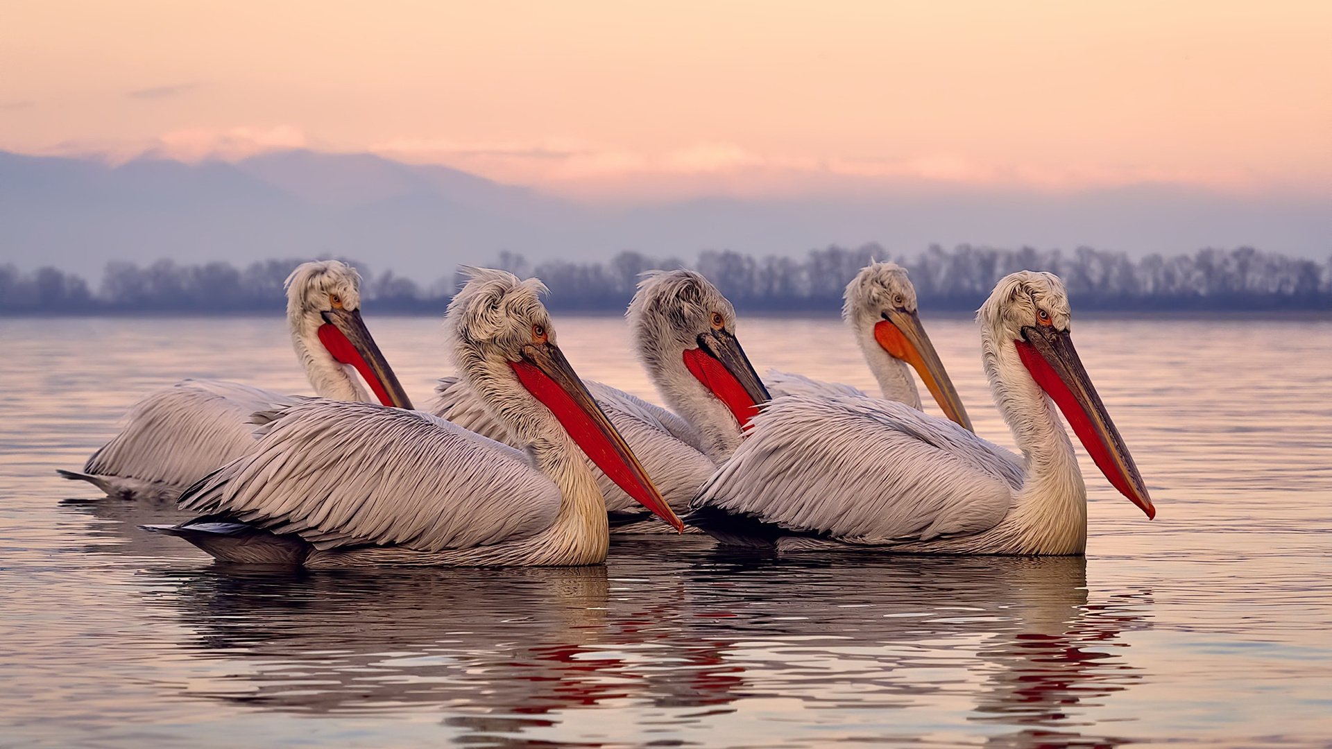爱游戏官方-梅西首秀即助攻，巴黎豪夺连胜，梅西首秀引全场躁动 巴黎4连胜登顶