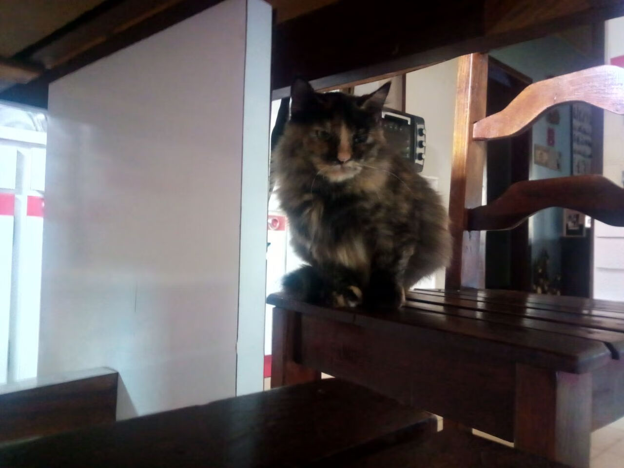 比尔森斯1-1平瓦伦西亚，瓦尔沃尔德和阿尔瓦雷斯各进一球，比沃尔阿瓦雷兹