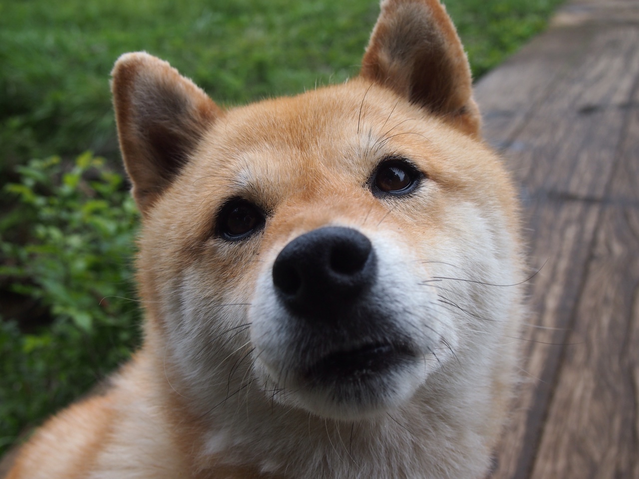 荷兰女足在欧洲预选赛中失利，未能晋级巴黎奥运会，荷兰女足出线了吗