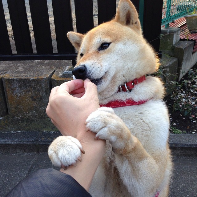 爱游戏官方-赛后采访：欧洲足球巨星的心声与梦想，欧洲足球球员