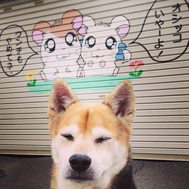 爱游戏入口-勒沃库森客场惜败，积分暂时稳定，勒沃库森球员图片