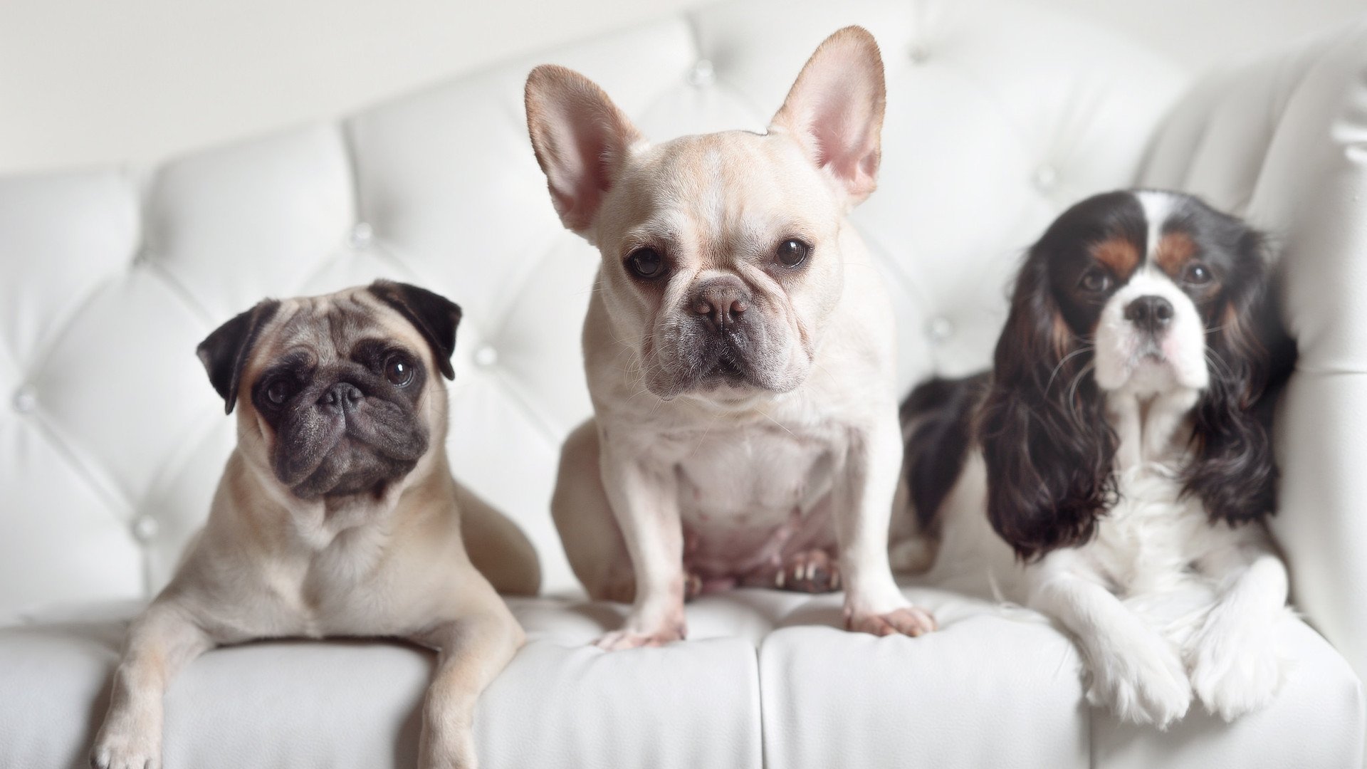 巴萨以97-74击败赫罗纳，创下单场20记三分的历史新高。，巴萨对赫塔费比分预测