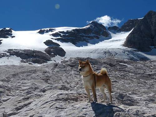 快船预计主力球员将缺席下一场比赛，球队备战困难，快船队消息