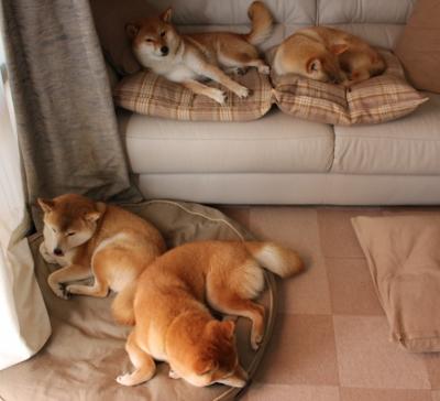 足球科技创新奖:年度最佳科技成果揭晓,足球科研