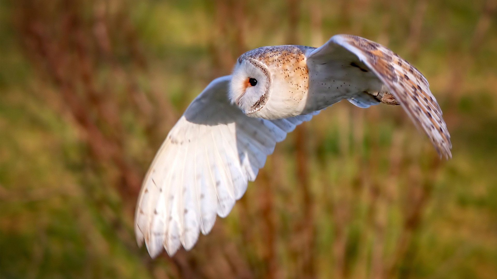 CBA球队实施科学恢复管理减少伤病率,cba恢复主客场了吗
